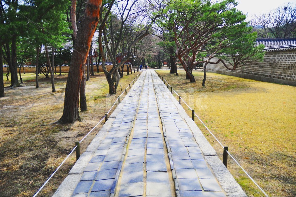 길,풍경,숲,나무,잔디,봄,한국전통,한국문화,korean traditional,korean culture