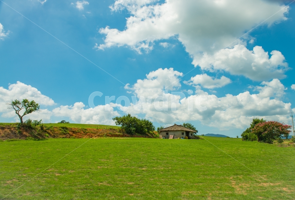외딴집,풍경사진,구름,잔디밭,푸른초원,자연,풍경,nature,landscape,plant,식물,grass,잔디,outdoors,옥외,weather,날씨