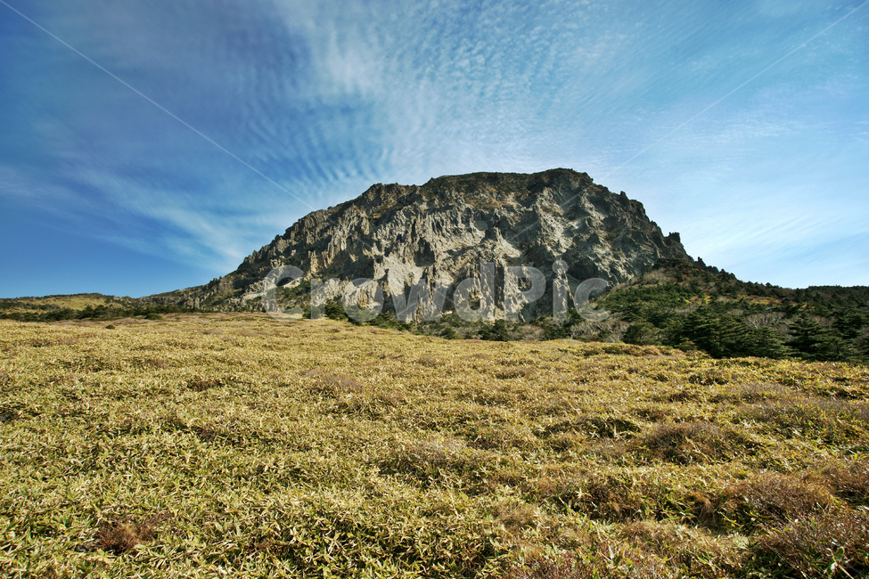 남벽,조릿대,한라산,한라산국립공원,제주도,돈내코코스,암벽,제주도,jeju,jeju island,nature,자연,outdoors,옥외,hill,언덕