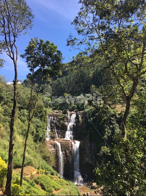 폭포,스리랑카자연,산,나무,푸른산,자연,풍경,nature,landscape,water,물,river,강,outdoors,옥외,waterfall