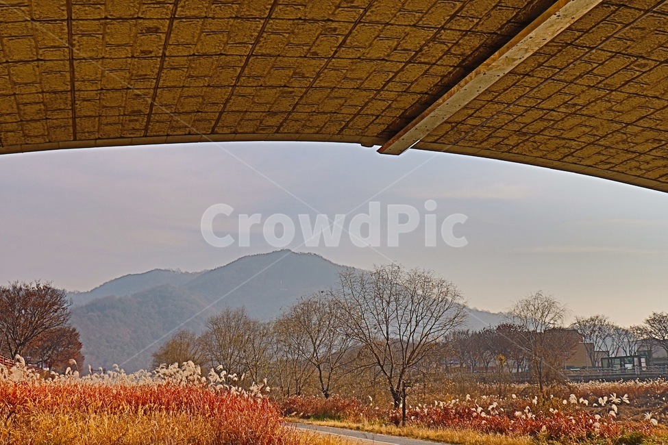 풍경,다리밑,자연,시골,landscape