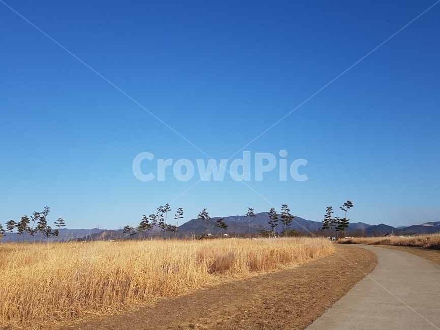 흙길,자연,도로,road,하늘,갈대