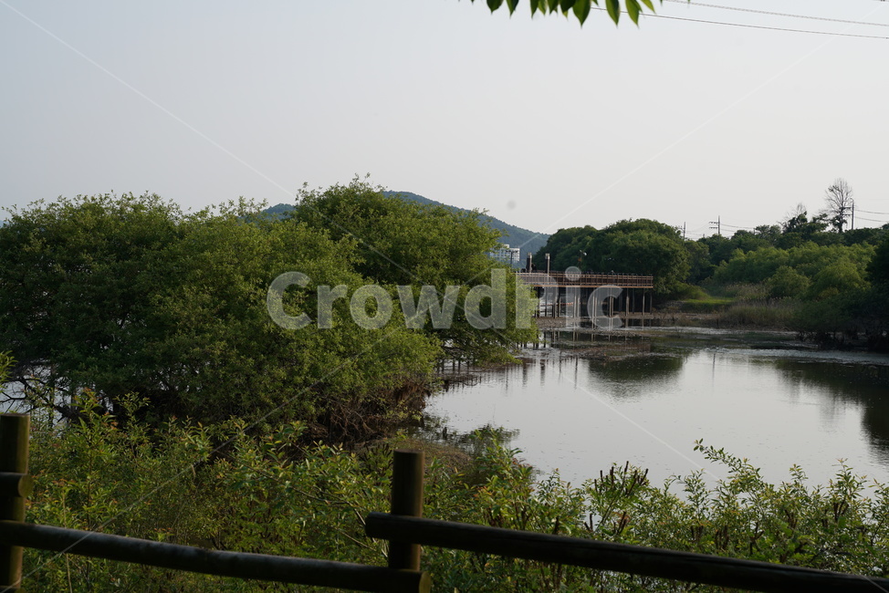 수변로,산책길,호수공원,호수길,호수로,탑정저수지,논산저수지