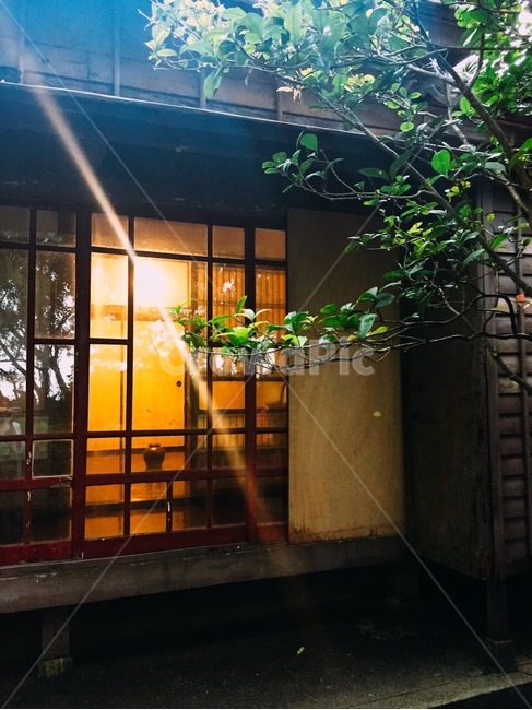 집,따뜻한풍경,아늑한풍경,마루,빛