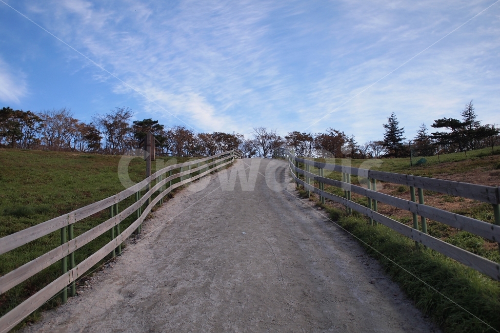 산책,길,여행,울타리,목장,자연,풍경,nature,landscape,산업,industry,industrial,목축업,목장,livestock farming,ranching,pasture