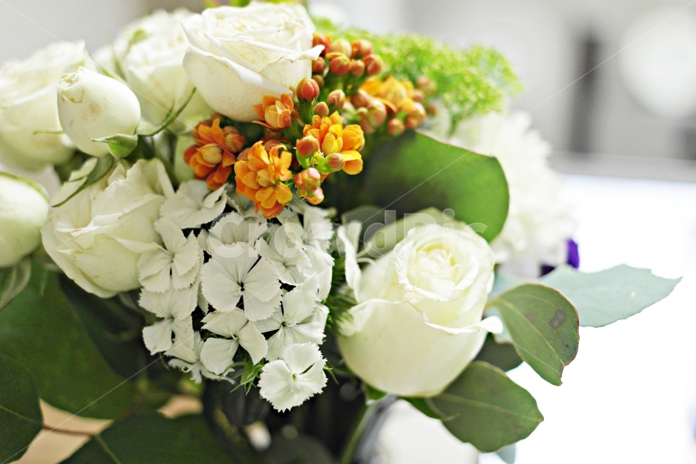 꽃,꽃다발,장미,국화,기념일,식물,자연,plants,nature,꽃,flower,기념일,축하,anniversary,congratulation,celebrate,celebration