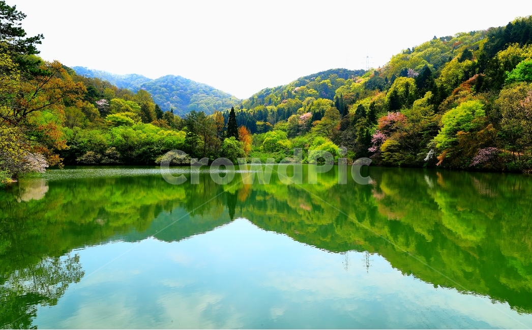 세량지,화순,봄,물,반영,저수지,풍경,화순가볼만한곳,자연,자연,풍경,nature,landscape,한국자연풍경,한국자연경관,korea nature landscape,water,outdoors,옥외,lake,호수