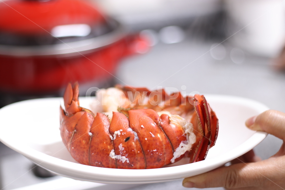 랍스타,해산물,랍스터,찜솥,찜기,음식,식재료,요리,food,cook,meal,dishes,food reserves