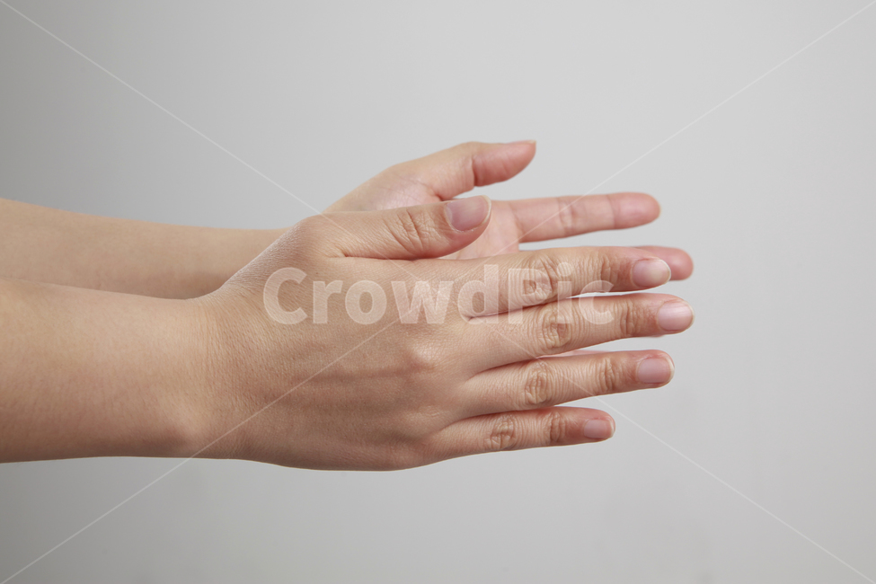 손,핑거,손가락,손모양,여러가지손모양,손포즈,손가락포즈,사람,인물,인간,human,person,신체일부,몸,body,손,제스처,표시,손짓,표현,gesture,hand,sign,expression