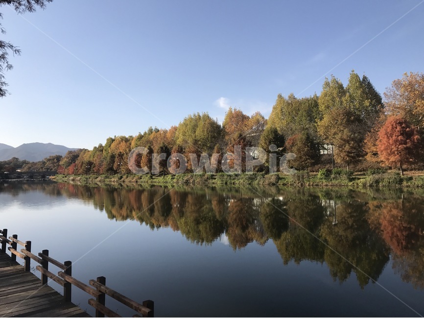 단풍,가을,fall,나무,계절,자연,tree,경관,한국자연풍경,풍경,한국자연경관,korea,landscape,가을,계절,fall,autumn,season,자연,풍경,nature,landscape,한국자연풍경,한국자연경관,korea nature landscape,water,물,outdoors,옥외