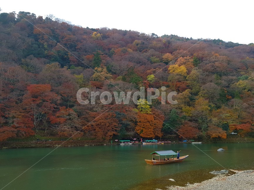 일본,단풍,배경,가을,교토,풍경,강,나무