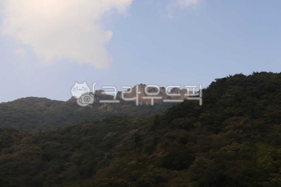 내장산,정읍,전라도,산,mountain