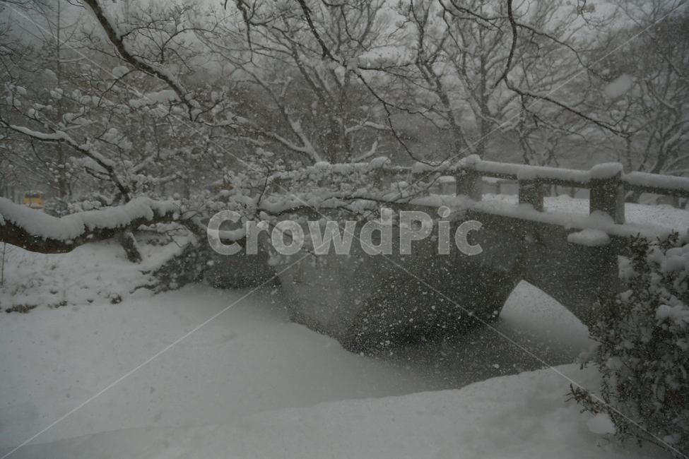 고창,선운사,선운사설경,설경,겨울,겨울,계절,winter,season,자연,풍경,nature,landscape,한국자연풍경,한국자연경관,korea nature landscape,storm,폭풍,snow,눈,outdoors,옥외,blizzard,눈보라