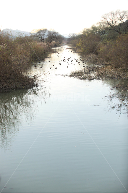 가을풍경,가을느낌,갈대물결,늪,가을,가을,계절,fall,autumn,season,자연,풍경,nature,landscape,water,물,land,땅,outdoors,옥외