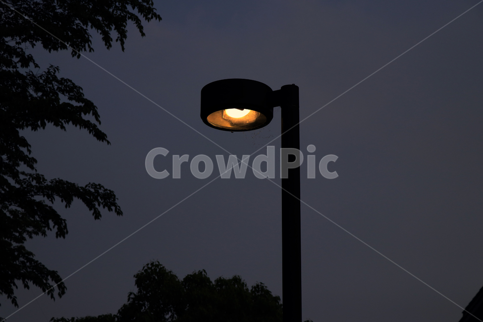 가로등,희망,빛,어둠,자연,외로움,고독함,쓸쓸함,hope,darkness,lonely,astreetlamp,light,야경,밤,풍경,nightscape,night,landscape