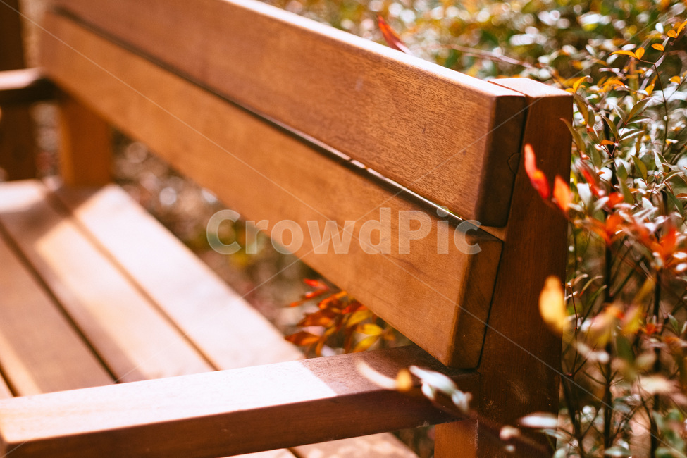 의자,벤치,햇살,따뜻함,온화함,가을,bench