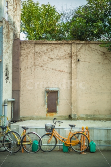 자전거,담벼락,거리,나무,작은문,주황색,일본,감성,추억,bicycle,wall,street,tree,smalldoor,orange,japan,kyoto,memory,remind,sensibility,사물,물건,오브젝트,thing,object,matter