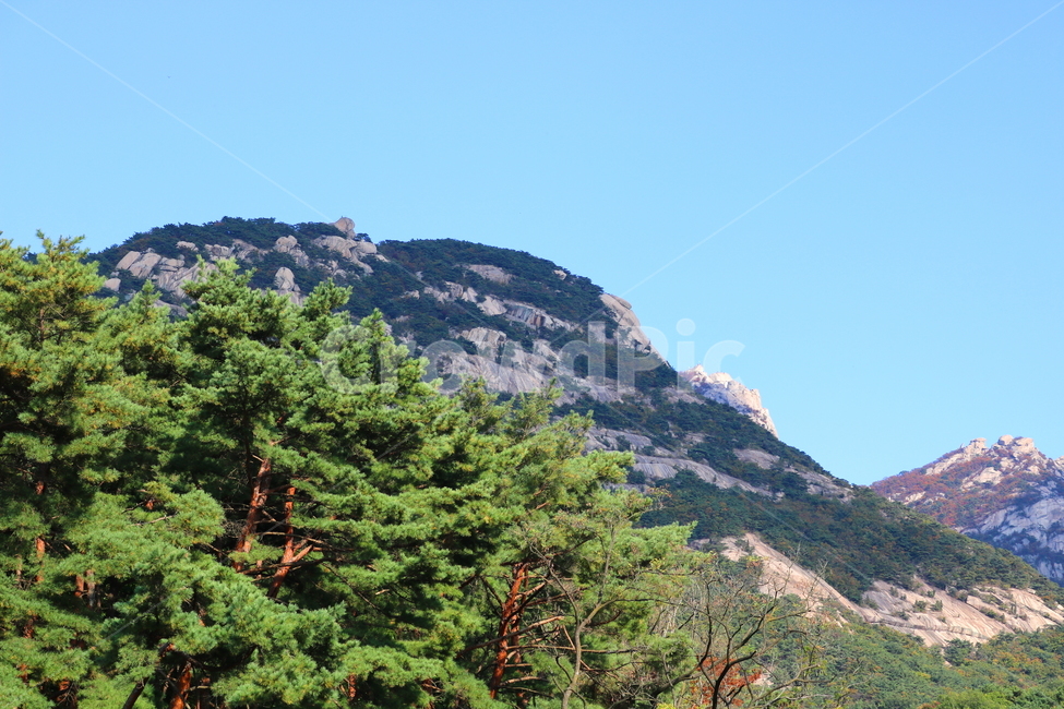북한산,산,자연,풍경,나무,공원,국립공원,산책로,등산로,원효봉,북한산국립공원,하늘,맑은하늘,식물,자연,풍경,nature,landscape