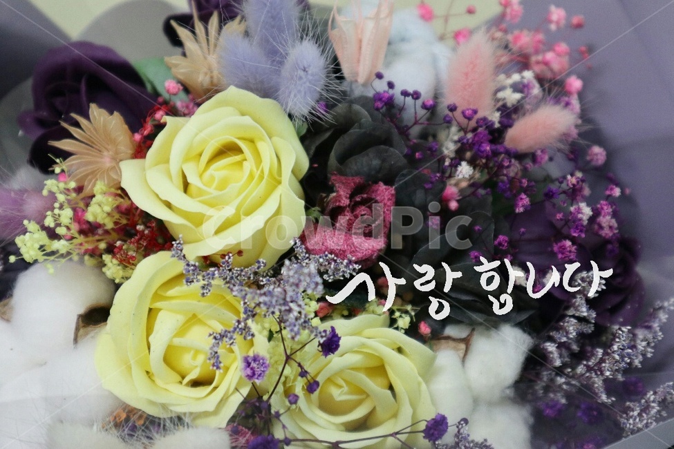 꽃다발,캘리그라피,손글씨,축하,사랑,꽃,flower,감정표현,기분,feeling,emotion,캘리그라피,손글씨,calligraphy