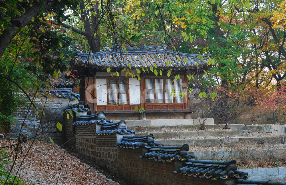 한옥,기와집,계단,건축,전통건축,한국,전통,한국전통,집,가옥,창덕궁,희우정,고궁,궁,전통가옥,담,담장,후원,비원,낙엽,가을,단풍,자연,고택,가을,계절,fall,autumn,season,한국전통,한국문화,korean traditional,korean culture,랜드마크,landmark,tourist attraction,한국랜드마크,한국관광지,한국명소,korea landmark,korea tourist attraction,건축물,건물외관,exterior,building,structure,architecture,construction,garden,정원,outdoors,옥외