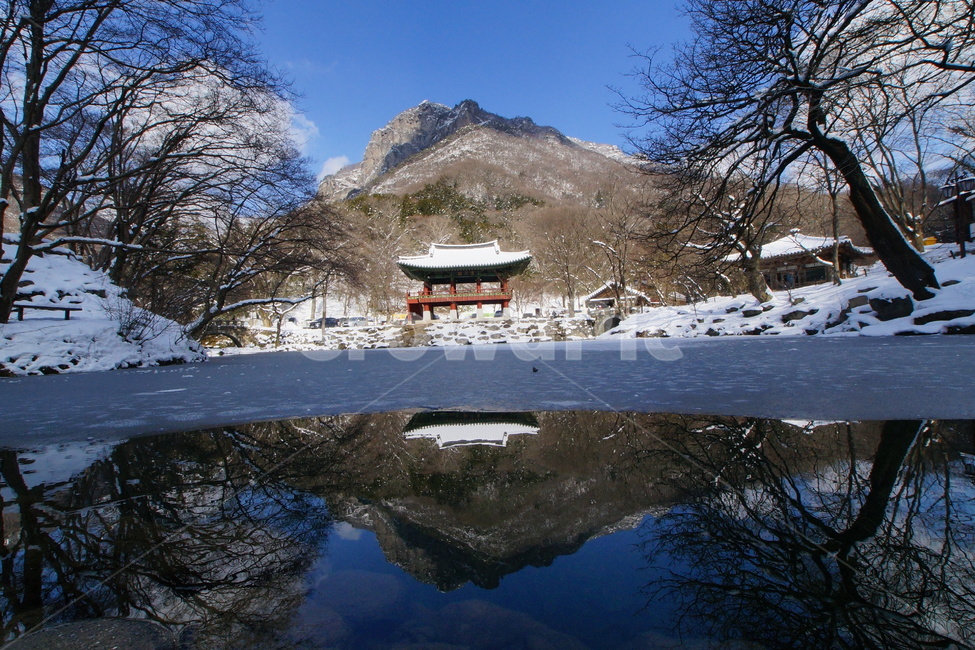 내장산,백양사,쌍계루,설경,국립공원,겨울,계절,winter,season,자연,풍경,nature,landscape,한국자연풍경,한국자연경관,korea nature landscape,outdoors,옥외