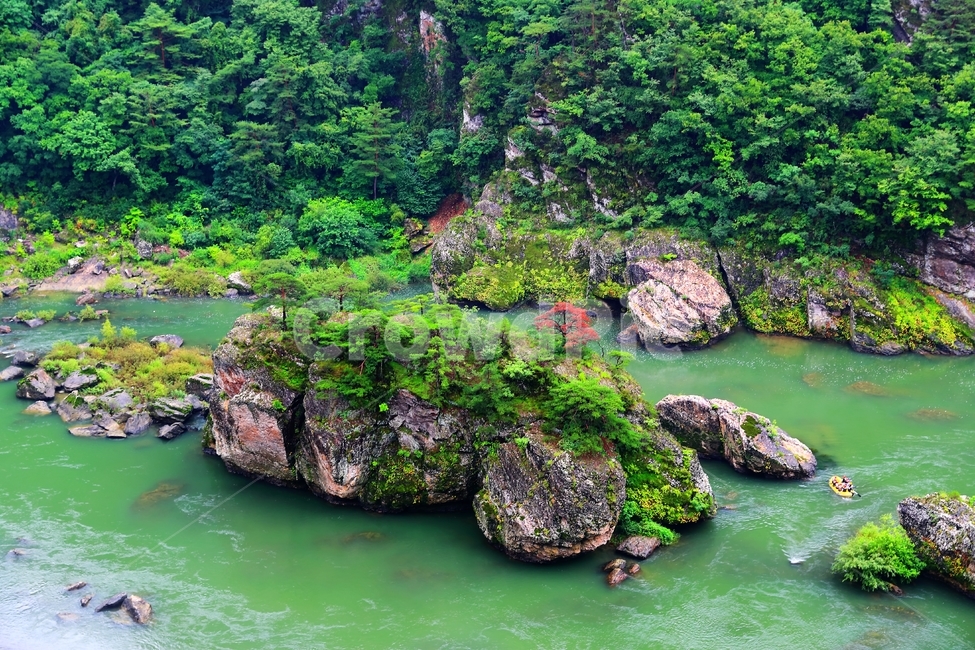 강,물,동강,레프팅,자연,어라연,자연,풍경,nature,landscape,한국자연풍경,한국자연경관,korea nature landscape,plant,식물