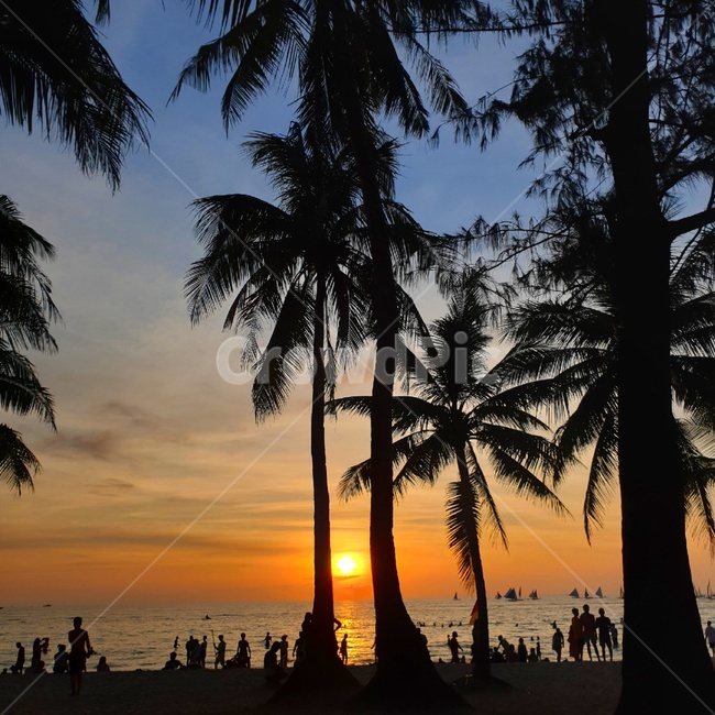 sunset,dusk,황혼,노을,일몰,redsky,붉은노을,보라카이선셋,boracaysunset,바다,물결,ocean,여유,낭만,orange,구름,cloud,야자수,palmtree