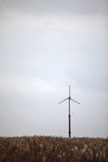 machine,기계,motor,풍력발전기,갈대,하늘,풍력발전