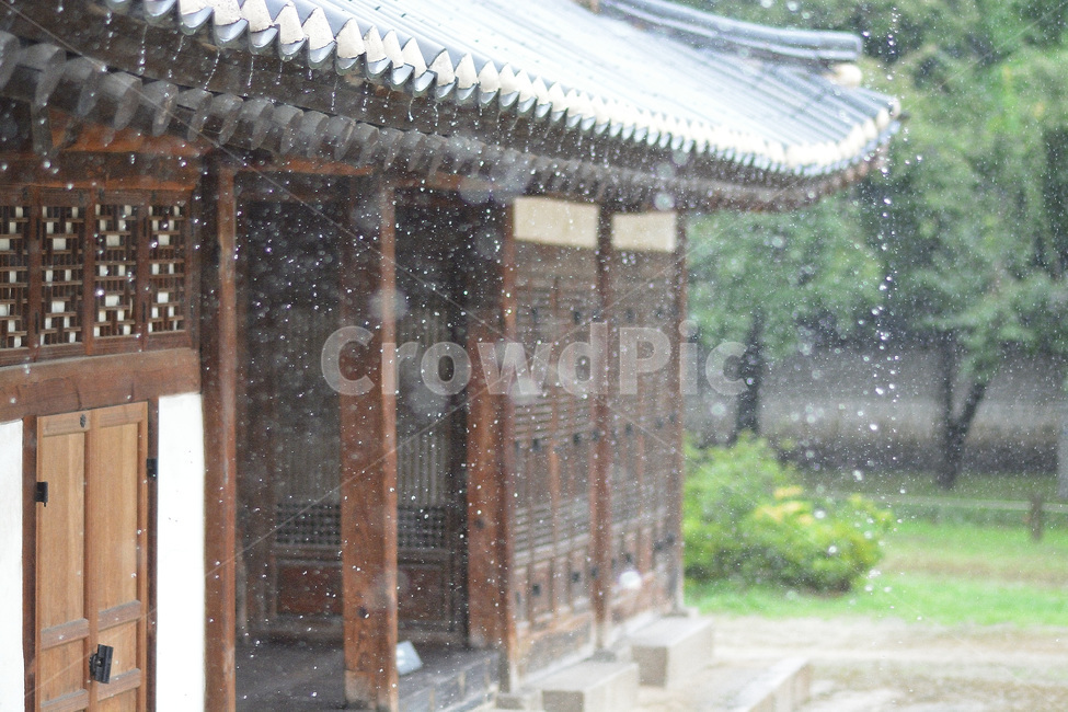 고궁,창경궁,비오는날,물방울,기와집,전통,한국전통,한국문화,korean traditional,korean culture,비,비오는날,rain,rainy,건축물,건물외관,exterior,building,structure,architecture,construction