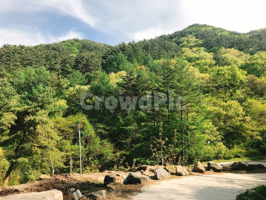 plant,식물,tree,나무,outdoors,nature,자연,산,mountain,greeen,자연,풍경,nature,landscape,vegetation,초목,옥외,land,땅