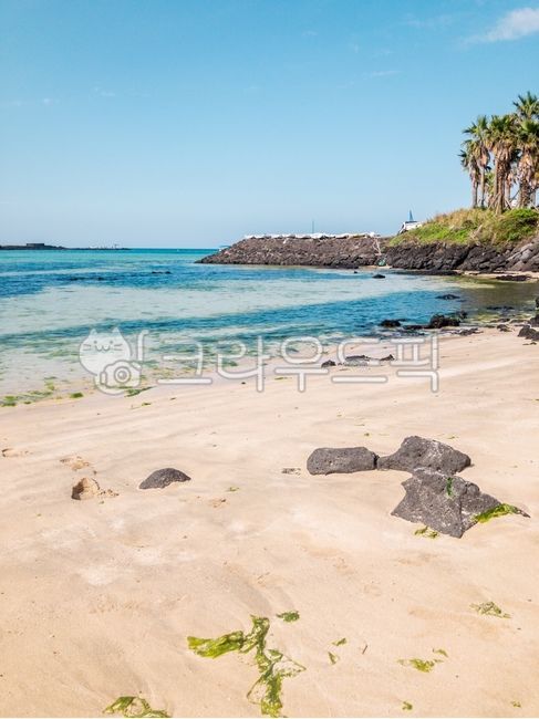 Beach,ocean,sandy beach,beach,sea