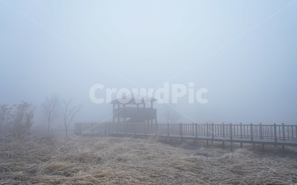 안개,공원,풍경,시설물,정자,겨울,계절,감성,겨울,계절,winter,season,자연,풍경,nature,landscape,weather,날씨,outdoors,옥외