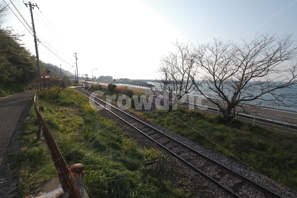 철길,바다,열차,railroad,sea,자연,풍경,nature,landscape,transportation,교통,train track,기찻길,railway,철도,rail,레일