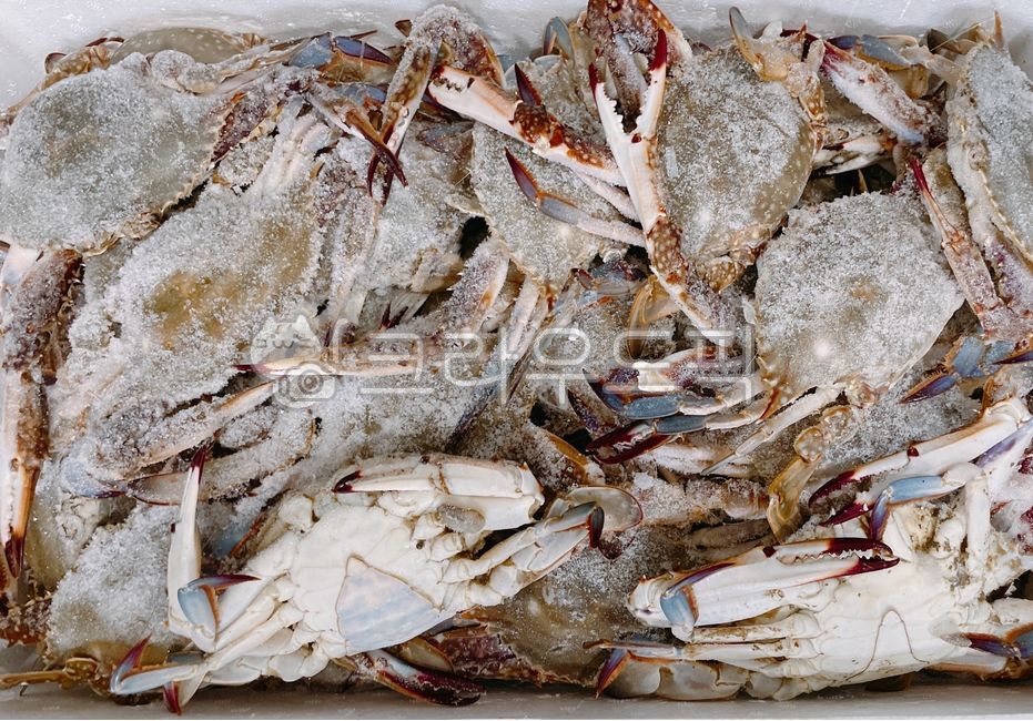 냉동꽃게,꽃게,게,급냉,냉동식품,냉동,암꽃게,냉동음식,숫꽃게,암게,숫게,음식,food