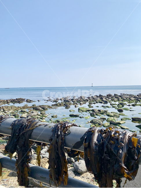 바다,미역,하늘,돌,바위,구름,물,자연,풍경,nature,landscape,해변,바다,beach,sea,수산물,해산물,fishery products,seafood