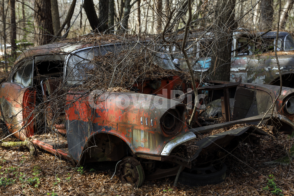 rust,녹,나무,자연,환경,오래된,자동차,페차,빈티지사진,빈티지느낌,빈티지감성,vintage
