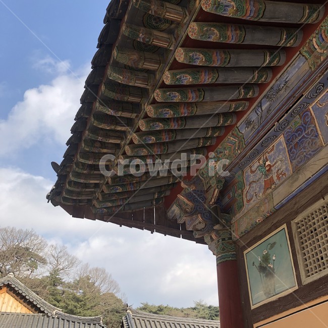 절,건축물,building,buddhism,불교,옛날건축물,architecture,건물,temple