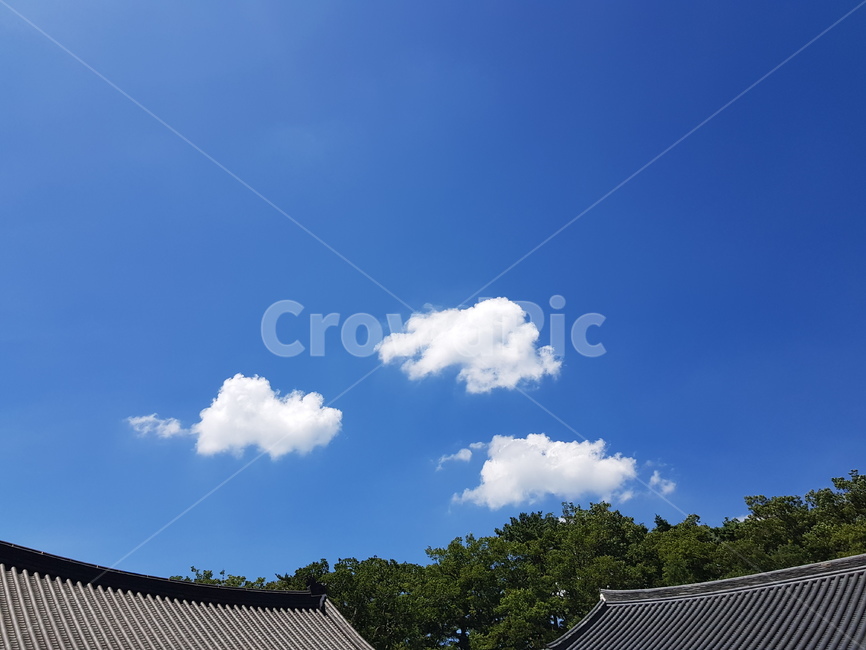 구름,하늘,절,cloud,sky