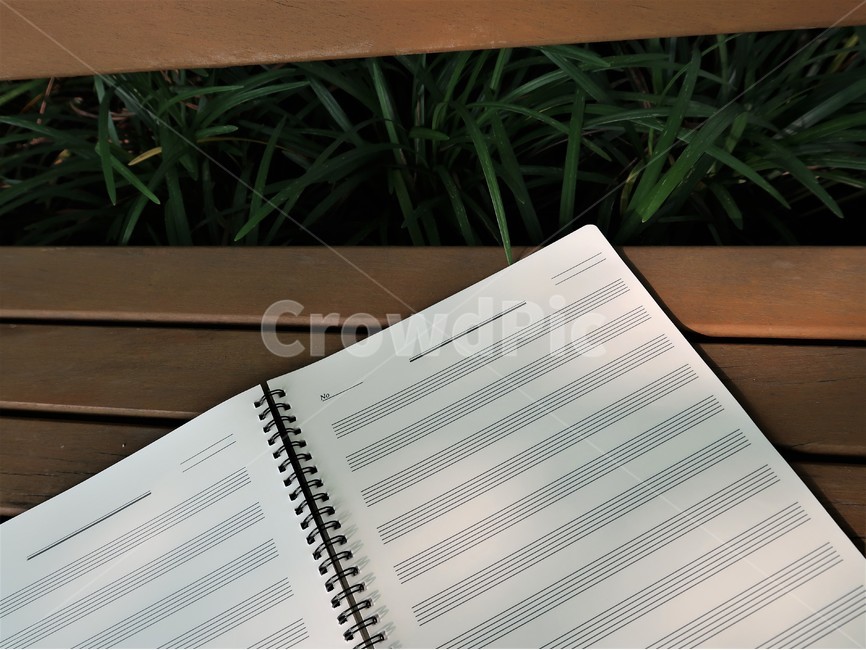 오선지,그늘,musicnote,자연,초록,녹색,풀잎,nature,green,벤치,bench,예술,art