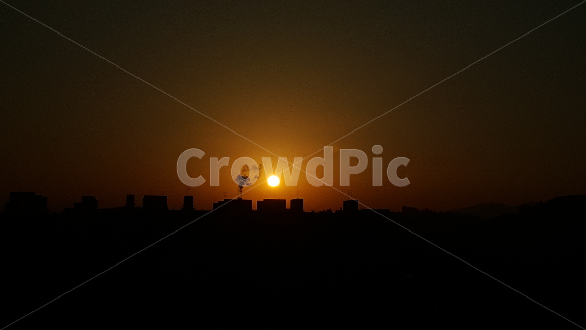 nature,자연,sunlight,햇빛,outdoors,옥외