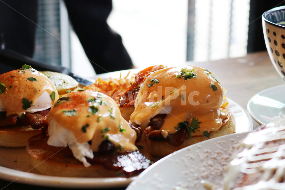 에그베네딕트,eggbenedict,brunch,브런치,hollandaise,홀렌다이즈소스,delicious,vivid,맛있는,점심,아침,식사,서양식,수란,계란요리,달걀요리,porkbelly,포크벨리에그베네딕트,음식,식재료,요리,food,cook,meal,dishes,food reserves,아침식사,조식,브런치,breakfast,brunch