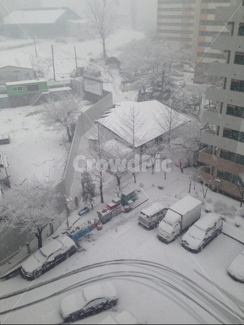nature,자연,outdoors,snow,눈,winter,겨울,blizzard,겨울,계절,winter,season