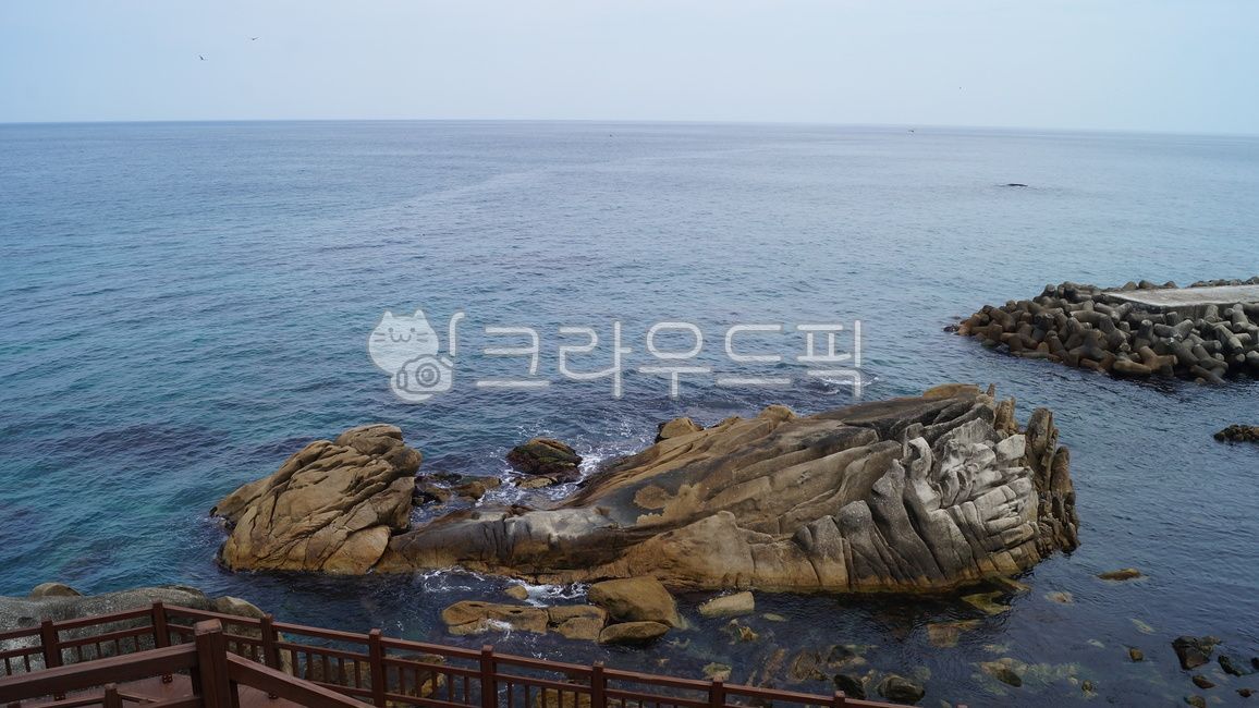 강릉,바다,소돌해변,해변,sea,바위,돌