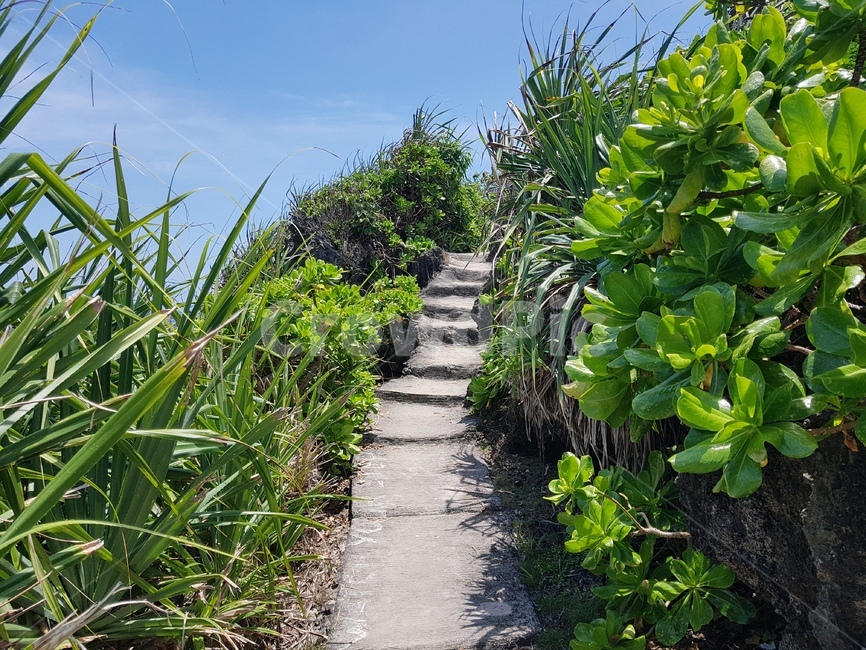 outdoors,옥외,arbour,정자,garden,정원