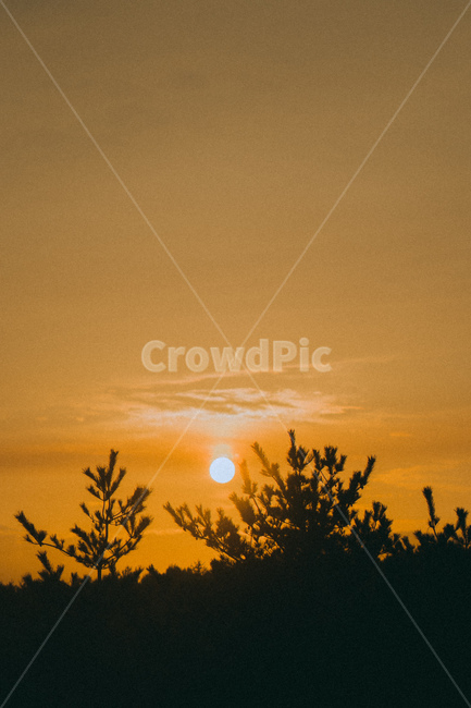 sunlight,햇빛,nature,자연,flare,플레어,light,빛,outdoors,옥외,sky,하늘,dusk,황혼,sunset,일몰,redsky,붉은하늘,노을,자연,풍경,nature,landscape,dawn,새벽,red sky,붉은 하늘