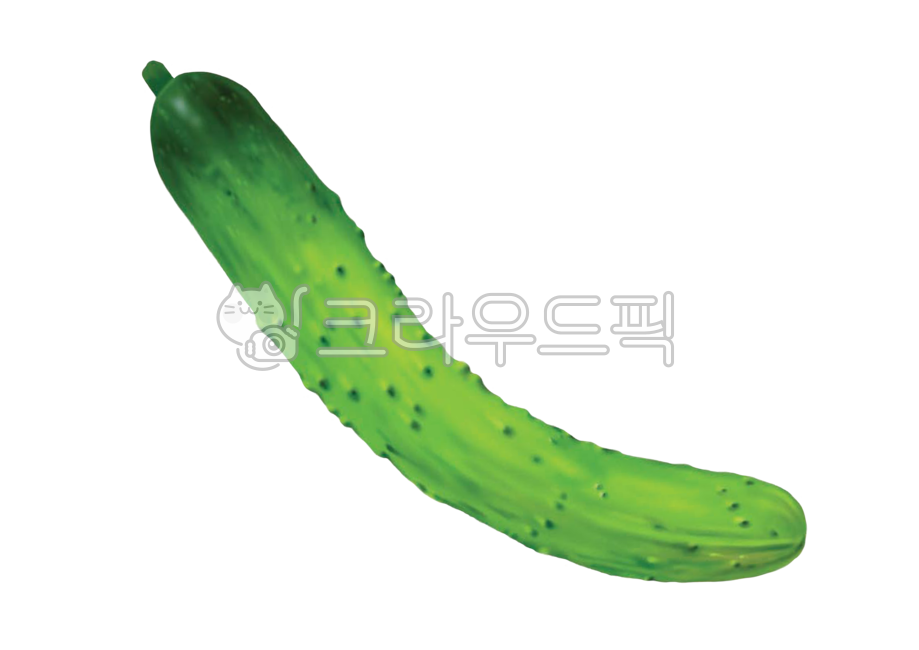 cucumber drawing,cucumber,png,vegetable,Cucumber illustration,plant,design,illustration,graphic