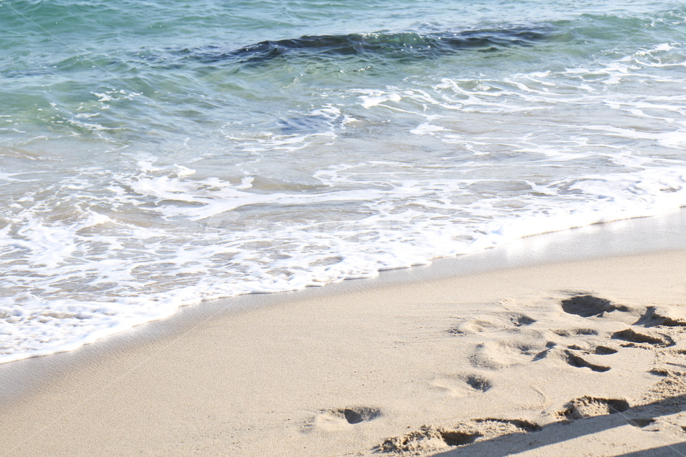 겨울,바다,겨울바다,모래,파도,바람,발자국,자연,풍경,nature,landscape,해변,바다,beach,sea,water,물