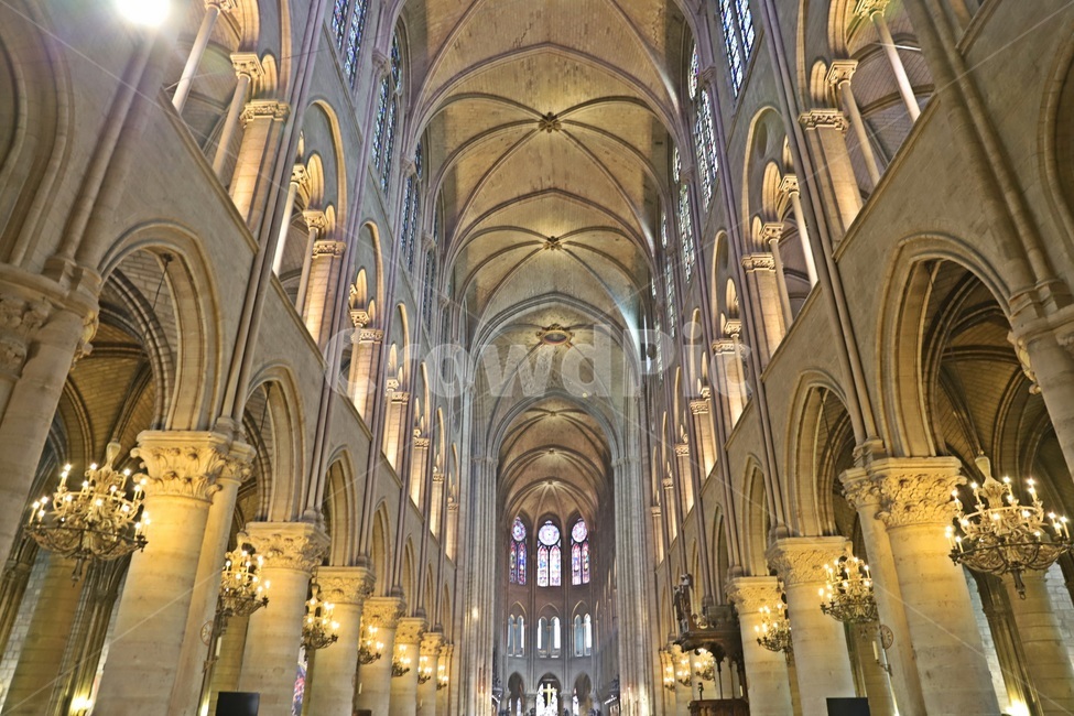 노트르담,노트르담대성당,notredamedeparis,파리,paris,랜드마크,landmark,tourist attraction,해외,외국,세계,foreign,oversea,world,세계랜드마크,해외랜드마크,외국랜드마크,world landmark,world tourist attraction,건축물,건물외관,exterior,building,structure,architecture,construction,indoors,옥내,church,교회에,altar,제단,건물