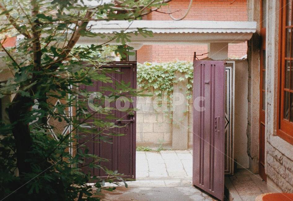 필름사진,대문,문,필름,빈티지,골목길,alley,감성,sensible,feeling,빈티지사진,빈티지느낌,빈티지감성,vintage,outdoors,옥외,nature,자연,building,건물,housing,주택