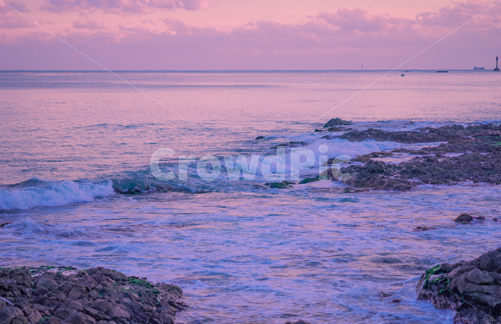 바다,구름,반영,파도,겨울바다,sea,cloud,sky,beach,해변,pink,puple,자연,풍경,nature,landscape,해변,바다,beach,sea,색깔,색상,색채,색감,color sense,color sensitivity,feeling of color,ocean,대양,water,물,outdoors,옥외